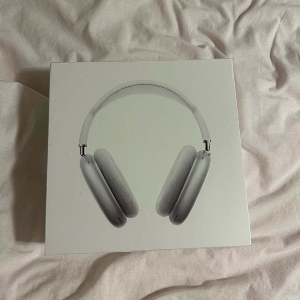 Apple AirPods Pro Max in Silver